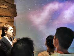 -四川宋瓷博物馆