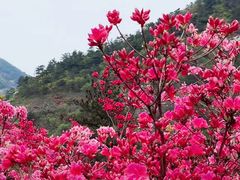 -木兰云雾山