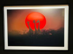 -罗红摄影艺术馆