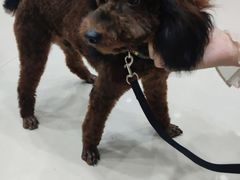 -宠颐生·恒爱宠物医院(静海店)