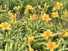 -汉长安城未央宫国家考古遗址公园