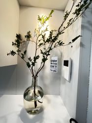 -颜续美容美体
