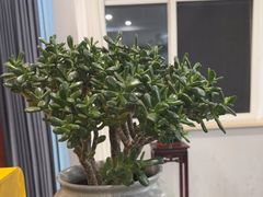 -卢小厨私房菜(长兴店)