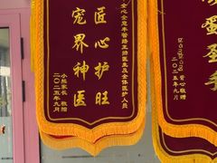 -全心全意连锁动物医院·微创中心·内科急重症·心脏专科(丰管路店)