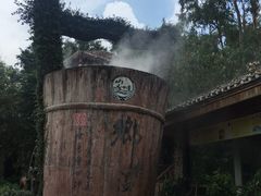 -观澜山水田园