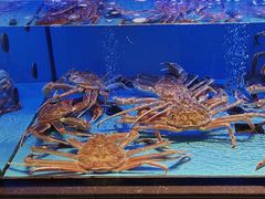 -阿伟海鲜楼·福建菜(延寿店)
