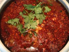 -雀蓝川菜(奥体广场店)