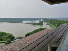 -大湾区中央湿地公园