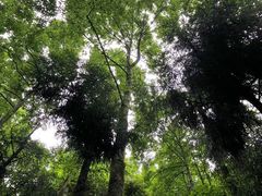 -青城山