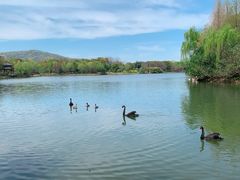 -江南大学(蠡湖校区)