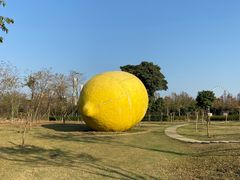 -顺峰山公园