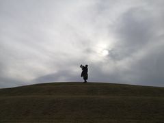 -春花秋色城市公园