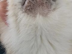 -嘉馨宠物医院·CT影像转诊·心脏科·犬猫全科诊疗中心(下沙大学城院区)