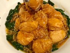 -食为先(Shark Fin)