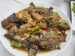 -小猫钓鱼海钓俱乐部(椰梦长廊店)