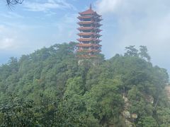 -缙云山景区