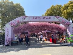 -南汇桃花村