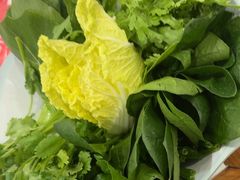 -草原传奇鲜羊火锅(桥北店)