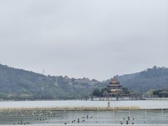 -顺峰山公园