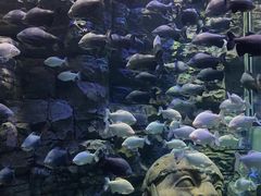 -成都浩海立方海洋公园