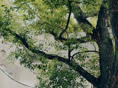 -湖北美术学院(昙华林校区)