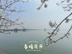 -阳澄湖半岛旅游度假区