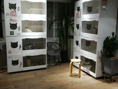 -东方名猫馆·英短金渐层布偶猫舍(环线广场1号楼店)