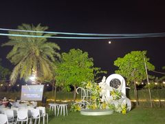 -陶缘一号·四季缘·老字号顺德菜·户外婚礼家宴(西滘店)