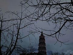 -顺峰山公园