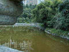 -龙头寺公园