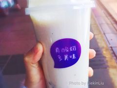 -一只酸奶牛(八一路店)