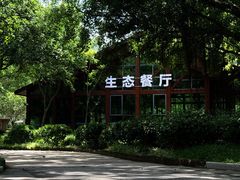 -东南花都花博园