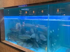 水产区-淘米捞·米汤脆鲩鱼火锅(福田皇岗店)