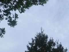 -渭河城市绿地运动公园