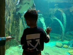 -华夏文旅海洋公园