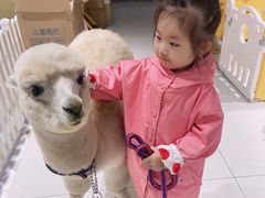 -RU DUCK柯尔鸭公社·撸鸭俱乐部·羊驼·小香猪
