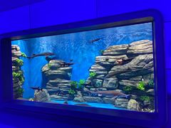 -石家庄极地海洋世界