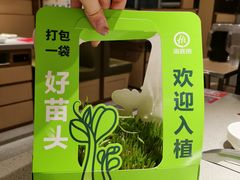-海底捞火锅(武胜路凯德广场店)
