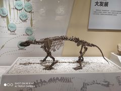 -国家自然博物馆