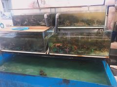 -ZF Seafood Restaurant 卓峰海鲜餐