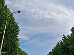 -河南财经政法大学(郑东校区)