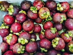 -双福水果批发市场