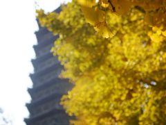 -玲珑塔公园