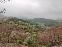 -四明山国家森林公园
