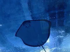 -海合安武汉极地海洋公园