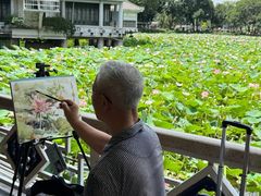 -荔湾湖公园
