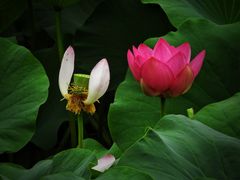 -太阳宫公园