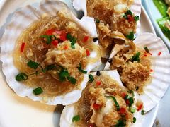 蒸扇贝-宝轩渔府·老字号海鲜·正宗津菜(水上店)