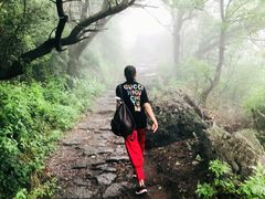 -阳台山自然风景区