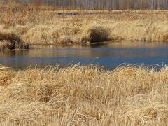 -泸沽湖国家级风景名胜区走婚桥